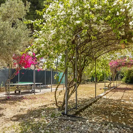 Lejlighed Cicladi Mikonos By Interhome Santa Flavia